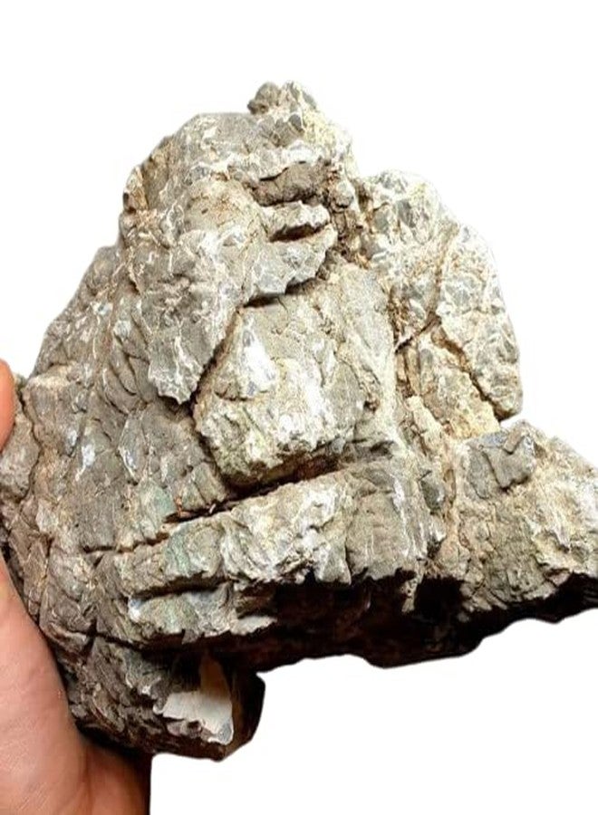 Maalavya Rocks for Reef Tank Setup Aquarium Decoration Garden Décor Planted Tanks ETC (Millennium Rock,7 KG) - Image 3
